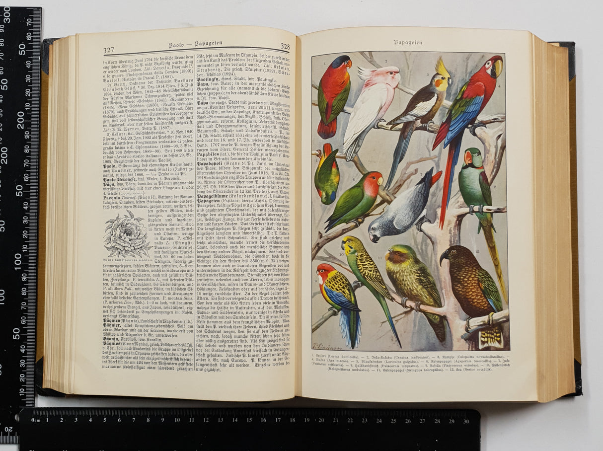 Authentic Vintage German Book - S