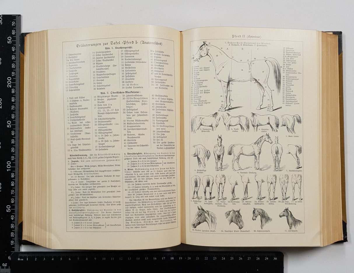 Authentic Vintage German Book - S