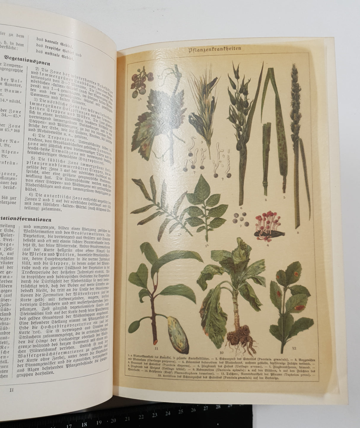 Authentic Vintage German Book - S