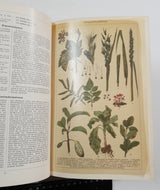 Authentic Vintage German Book - S