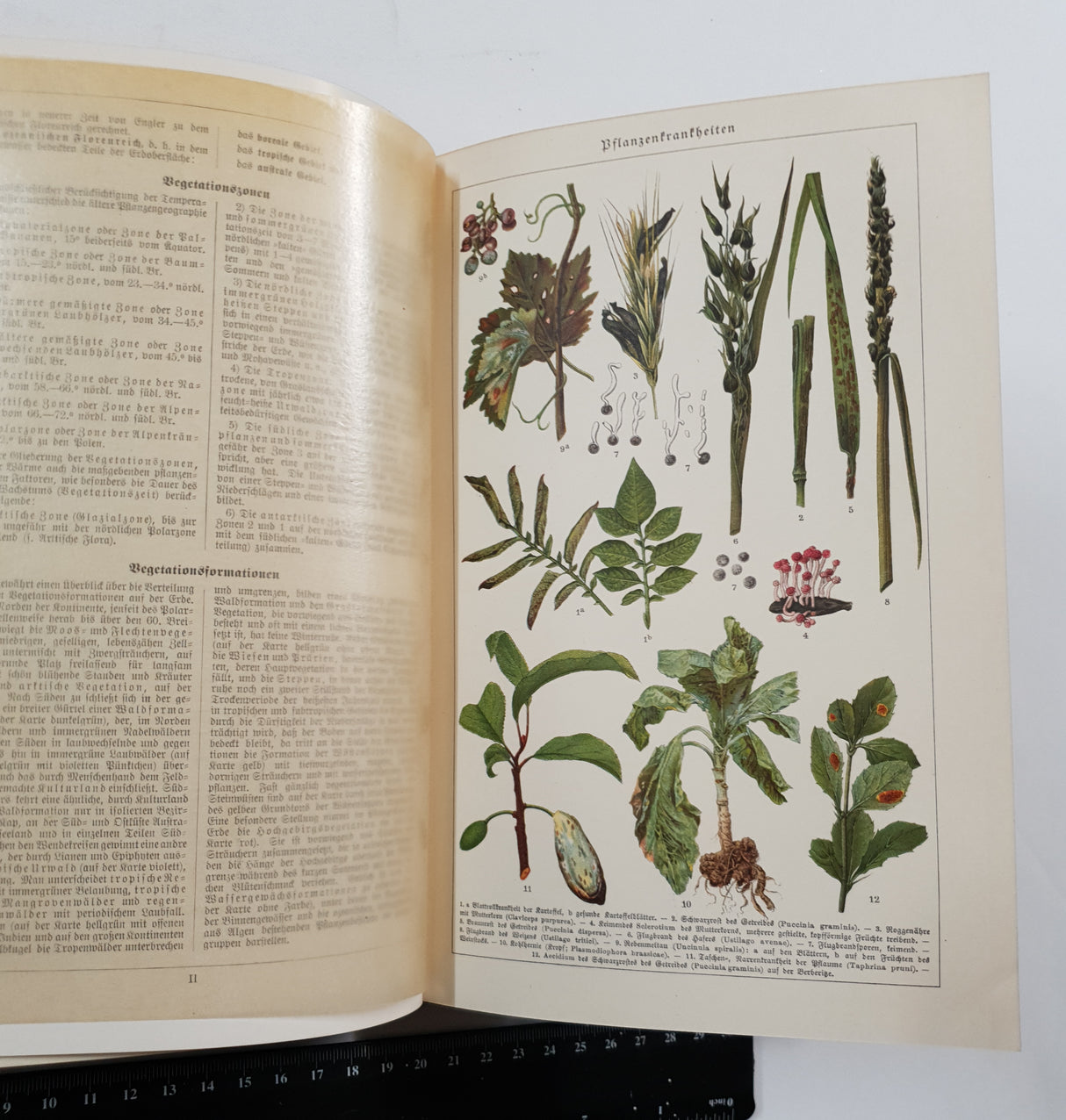 Authentic Vintage German Book - S