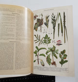 Authentic Vintage German Book - S