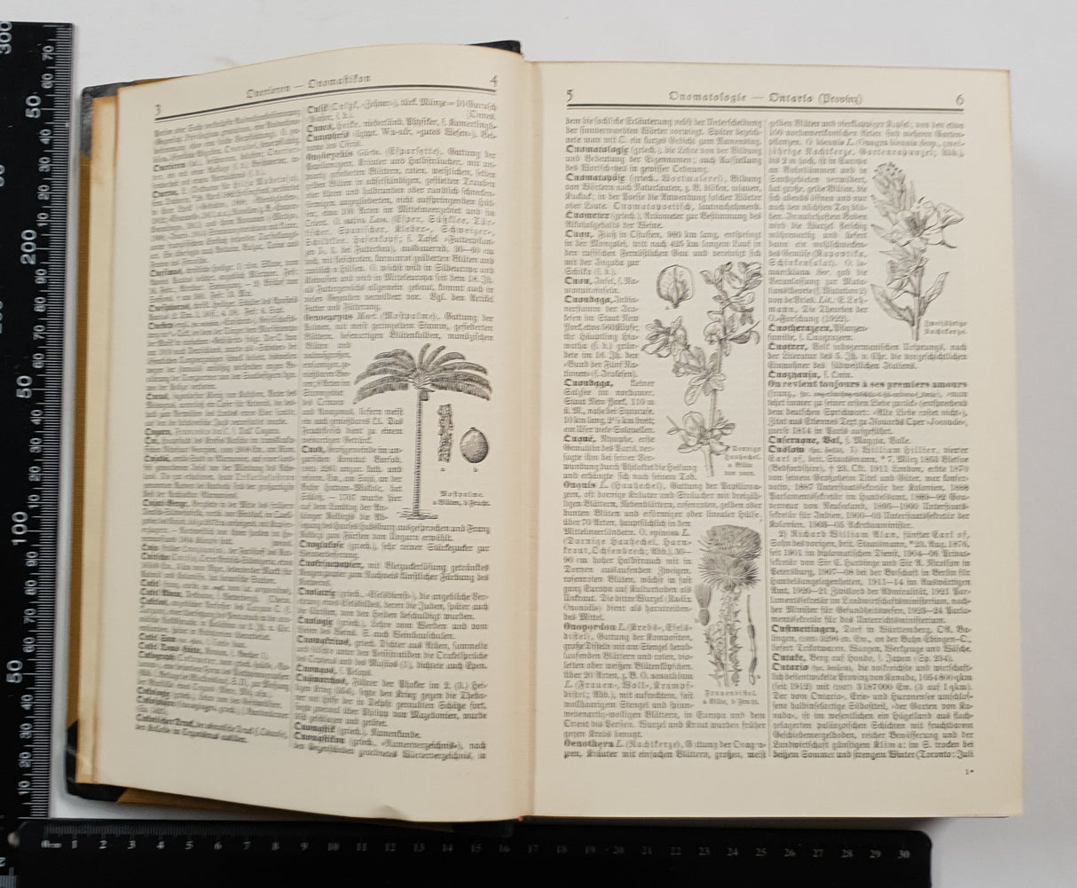 Authentic Vintage German Book - S