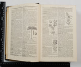 Authentic Vintage German Book - S