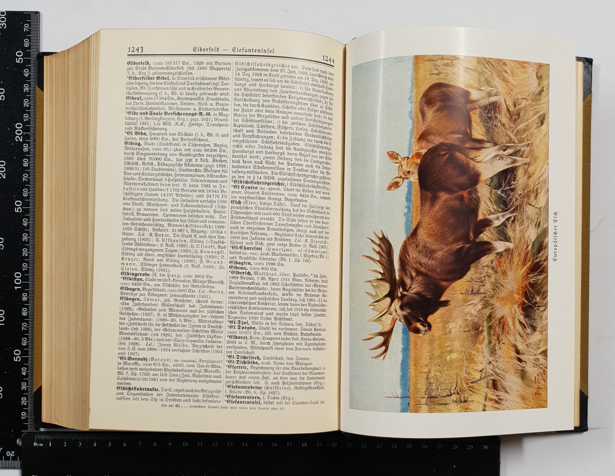 Authentic Vintage German Book - U