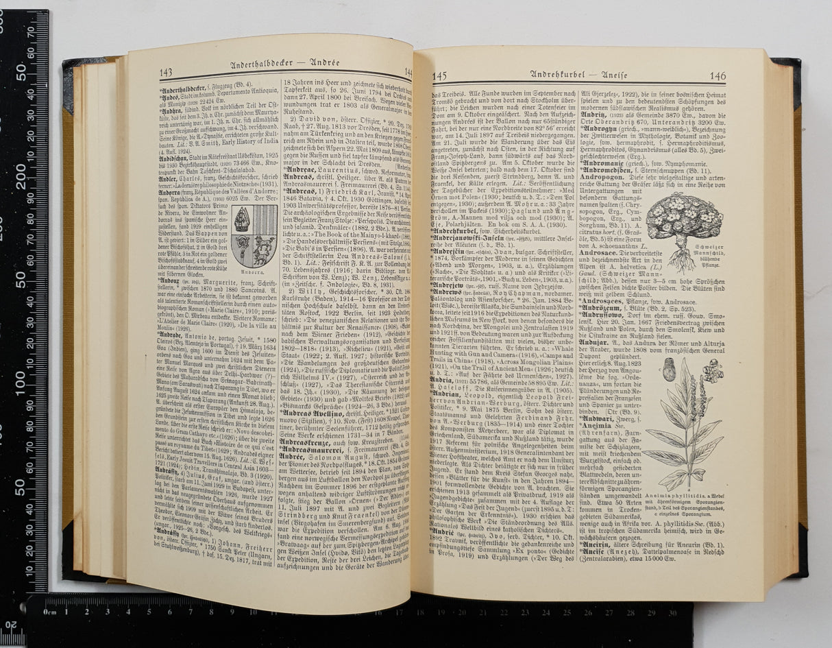 Authentic Vintage German Book - U