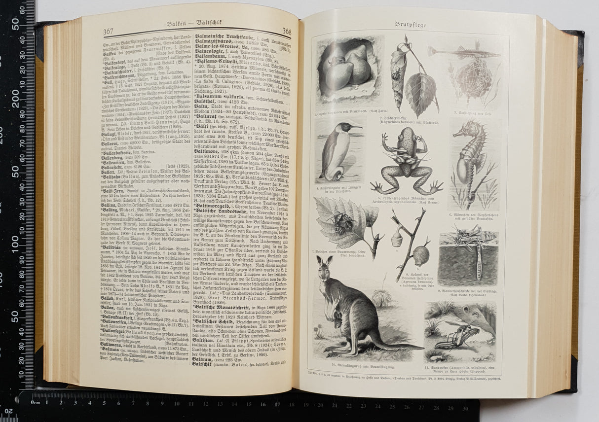 Authentic Vintage German Book - U