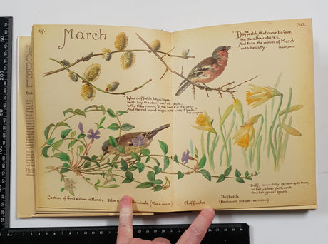 The Country Diary of an Edwardian Lady