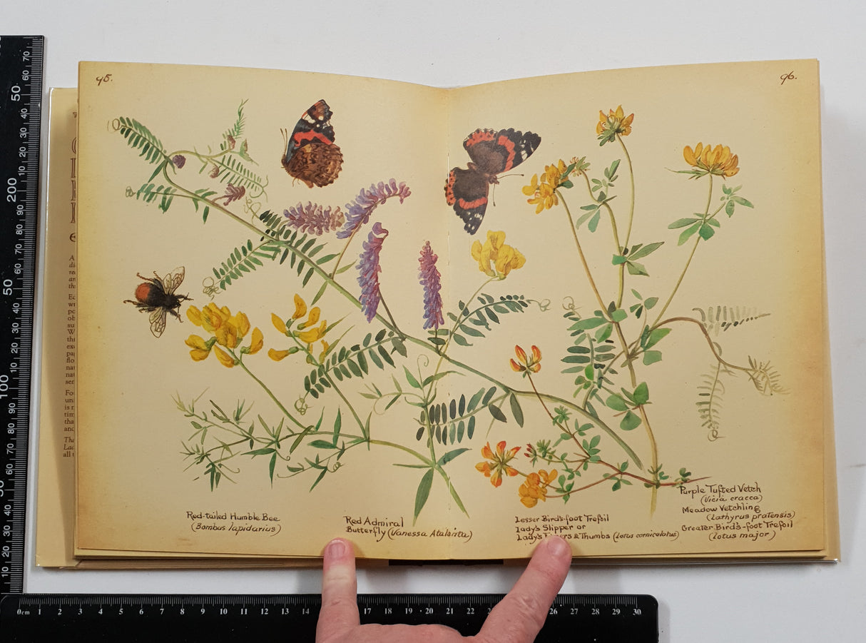 The Country Diary of an Edwardian Lady