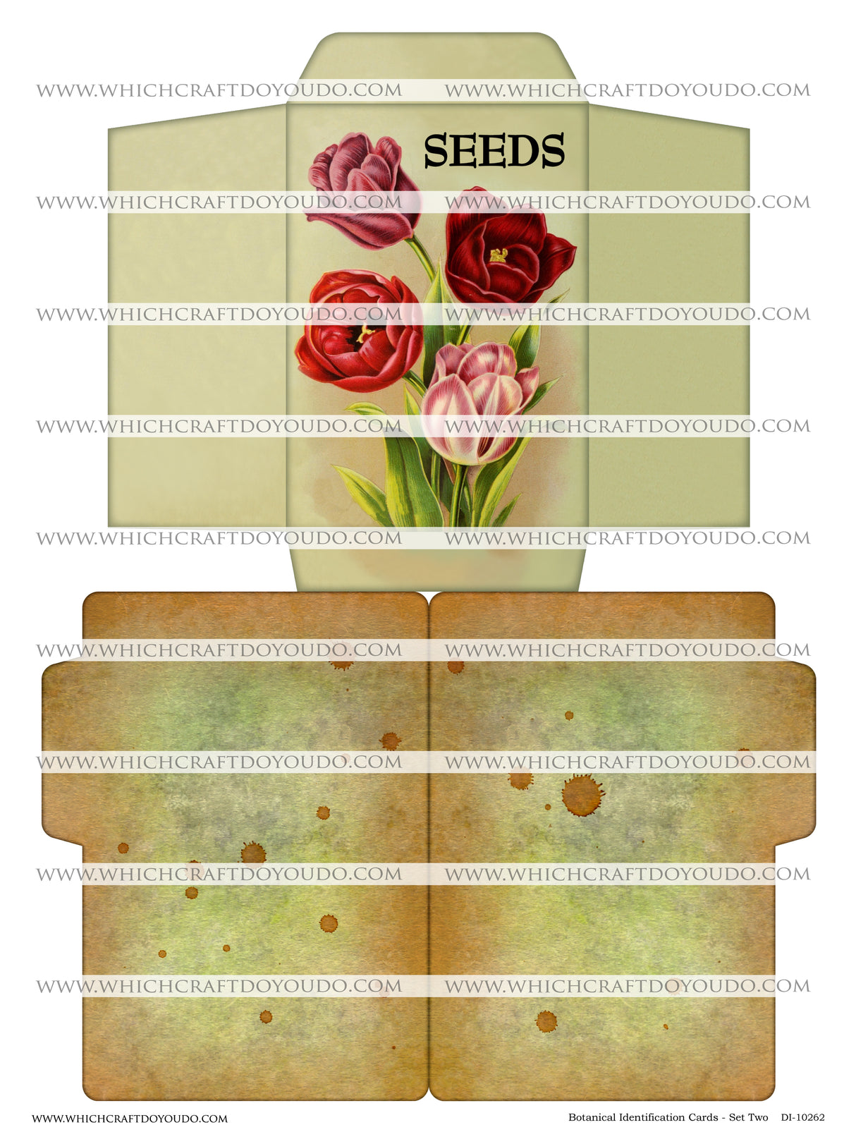 FREEBIE - Botanical Identification Cards - Set Two - DI-10262 - Digital Download