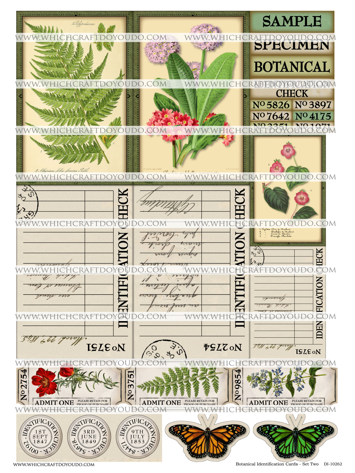 FREEBIE - Botanical Identification Cards - Set Two - DI-10262 - Digital Download