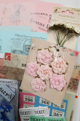 Whichcraft Box of Goodies - Limited Edition Box - 14