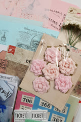 Whichcraft Box of Goodies - Limited Edition Box - 14