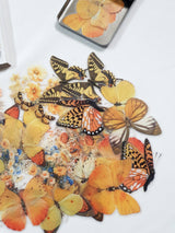 Tin of Assorted Stickers - Butterflies - EY