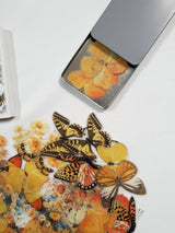Tin of Assorted Stickers - Butterflies - EY