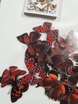 Tin of Assorted Stickers - Butterflies - FA