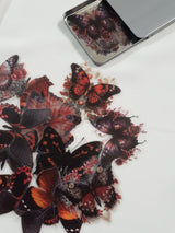 Tin of Assorted Stickers - Butterflies - FA