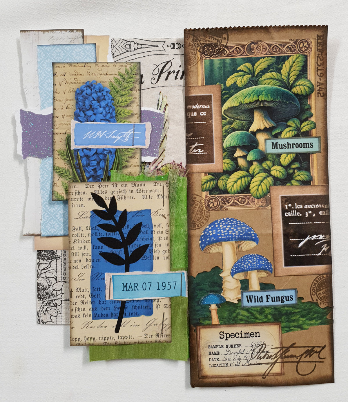 Inspiration Pack - CI