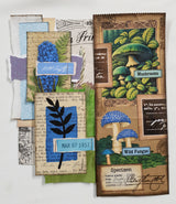 Inspiration Pack - CI