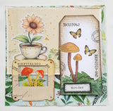 Inspiration Pack - CX