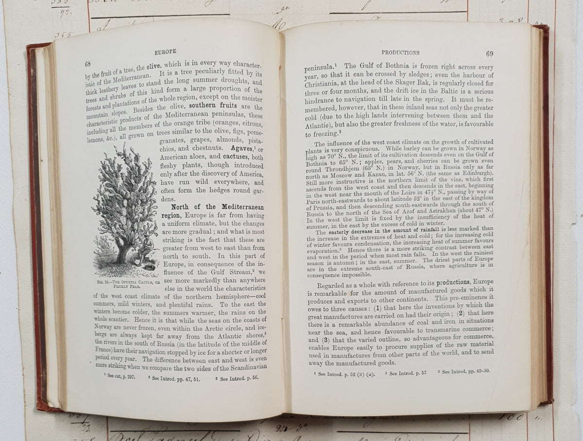 Authentic 1886 Victorian Book - DW