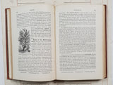 Authentic 1886 Victorian Book - DW