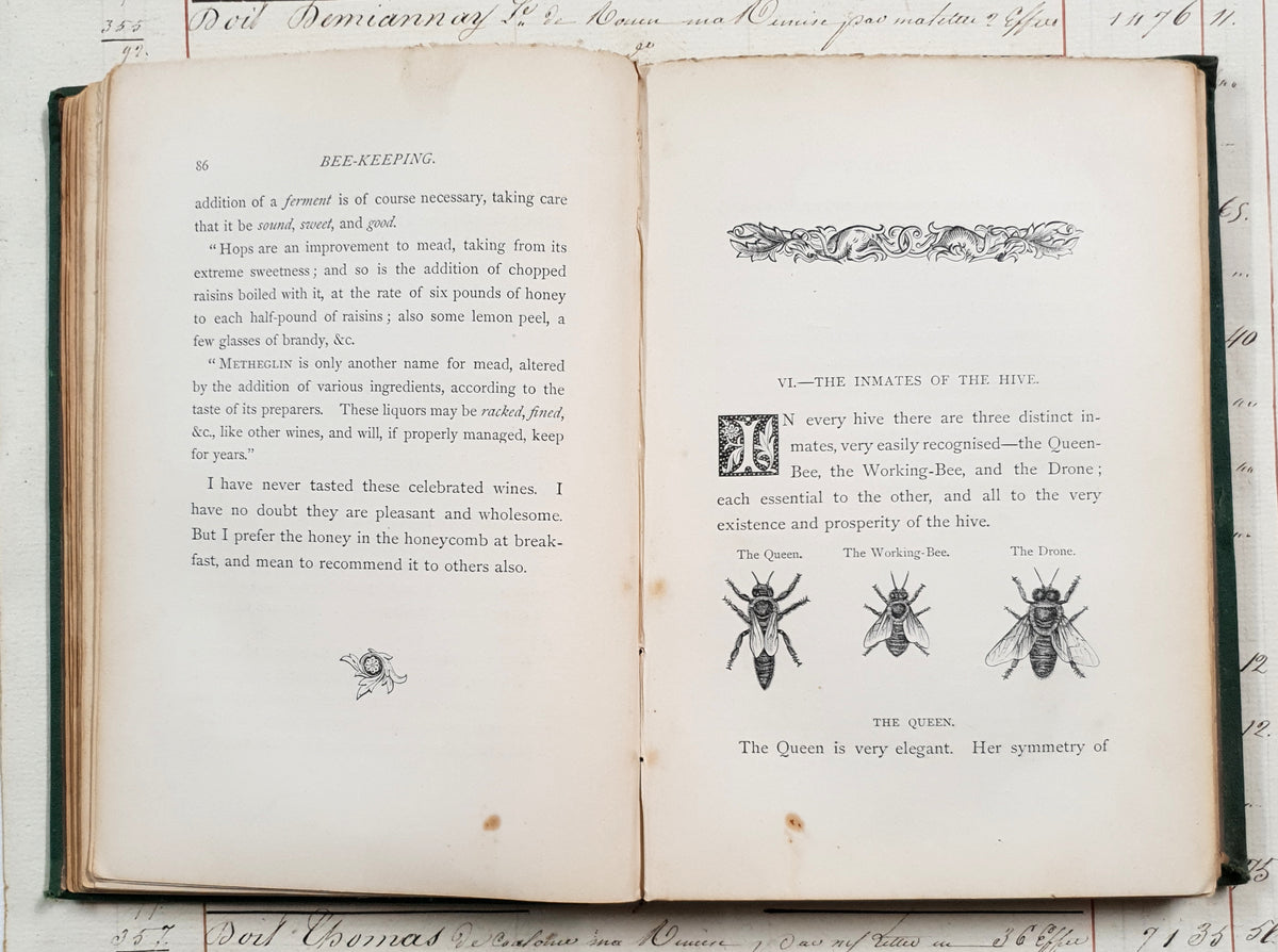 Antique 1864 Bee-Keeping Book – “The Times” Bee-Master – First Edition - DX