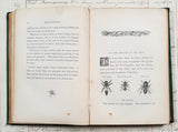 Antique 1864 Bee-Keeping Book – “The Times” Bee-Master – First Edition - DX