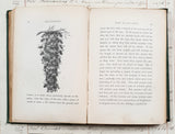 Antique 1864 Bee-Keeping Book – “The Times” Bee-Master – First Edition - DX