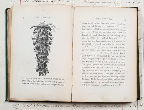 Antique 1864 Bee-Keeping Book – “The Times” Bee-Master – First Edition - DX