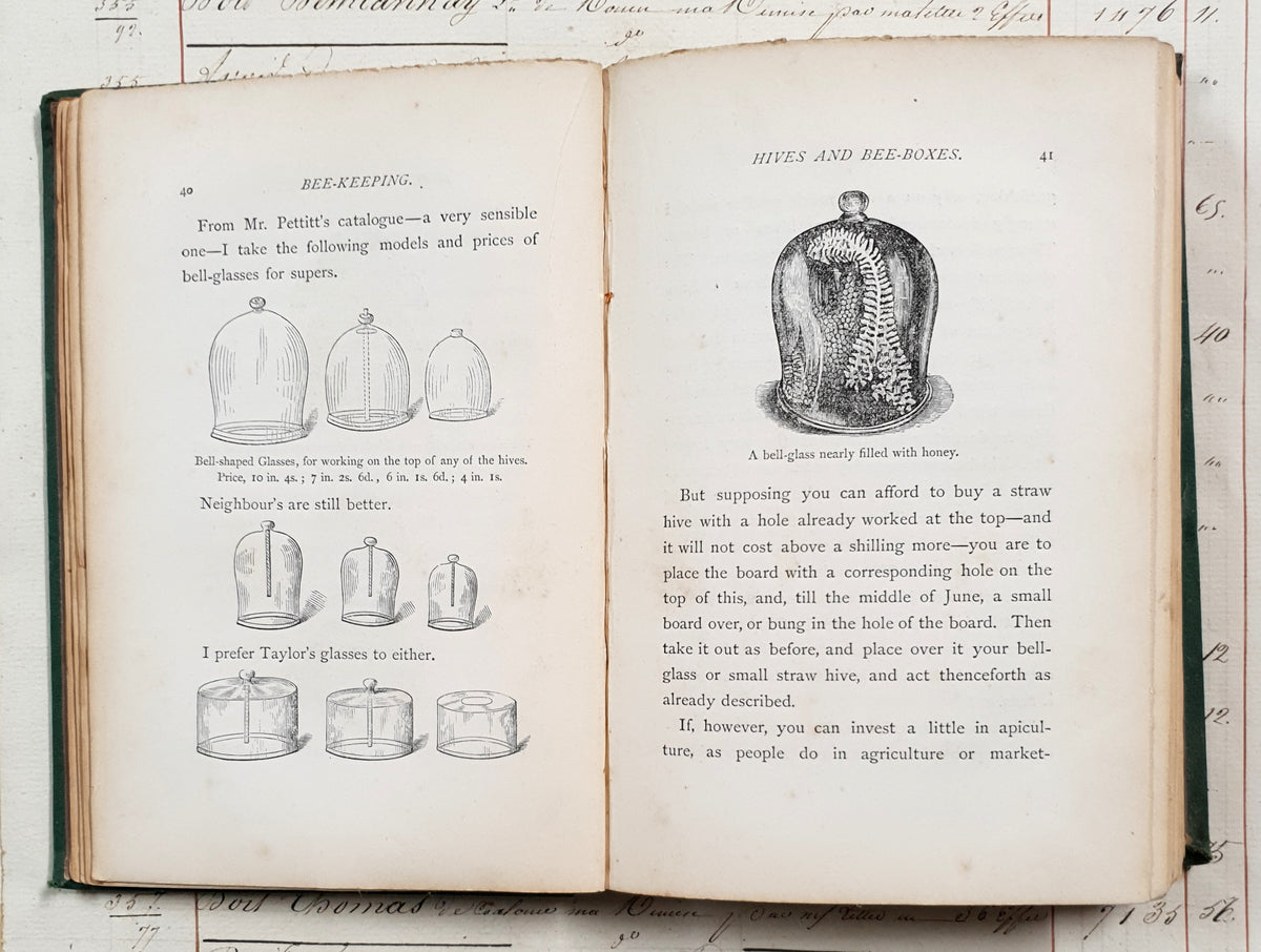 Antique 1864 Bee-Keeping Book – “The Times” Bee-Master – First Edition - DX