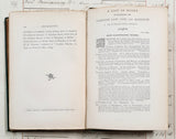 Antique 1864 Bee-Keeping Book – “The Times” Bee-Master – First Edition - DX