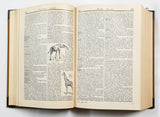 Authentic Vintage German Book - EA