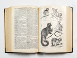 Authentic Vintage German Book - EA
