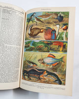Authentic Vintage German Book - EA
