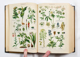 Authentic Vintage German Book - EA