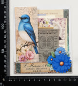 Mini Assorted Ephemera Pack - EE