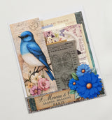 Mini Assorted Ephemera Pack - EE