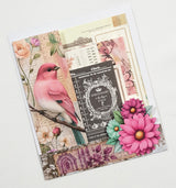 Mini Assorted Ephemera Pack - EF