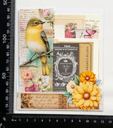 Mini Assorted Ephemera Pack - EH