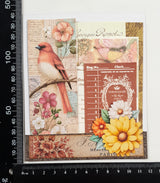 Mini Assorted Ephemera Pack - EL