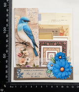 Mini Assorted Ephemera Pack - EO