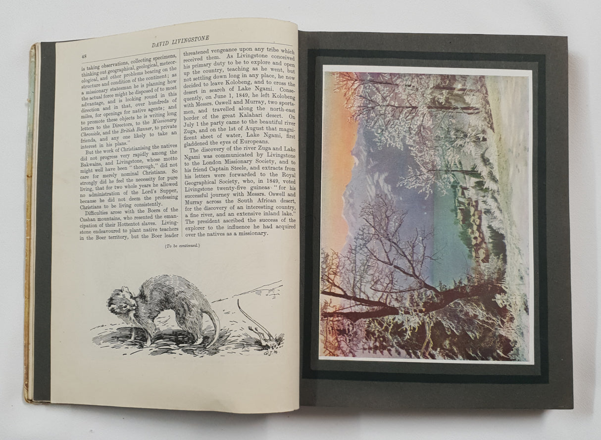 Authentic Vintage Book - ES