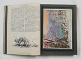 Authentic Vintage Book - ES