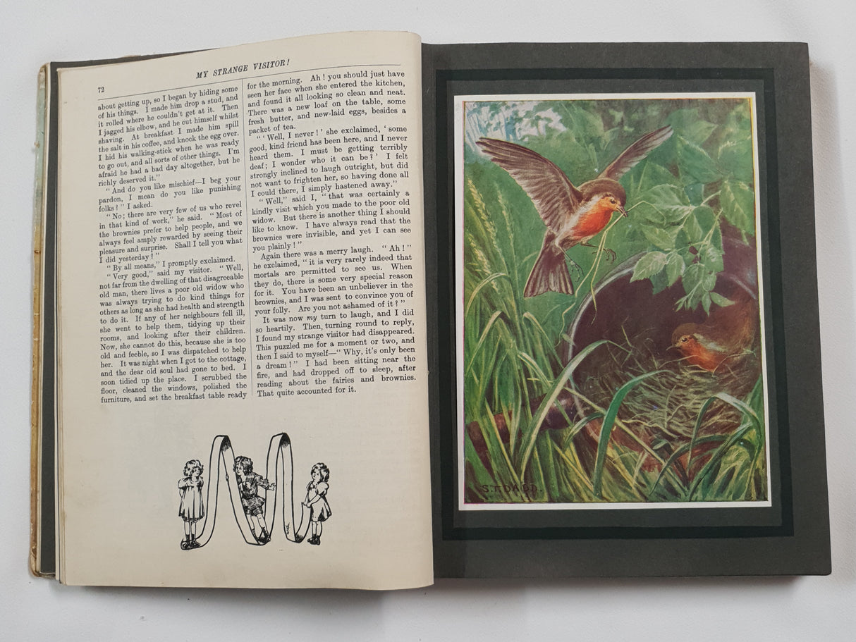 Authentic Vintage Book - ES