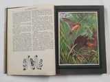 Authentic Vintage Book - ES