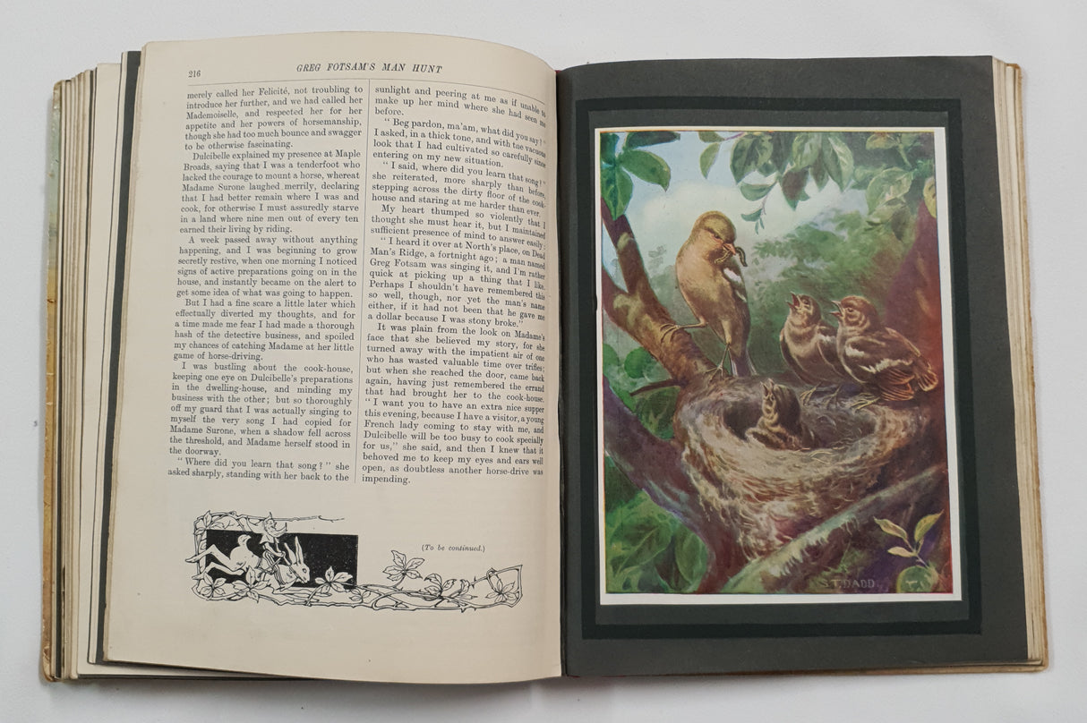 Authentic Vintage Book - ES