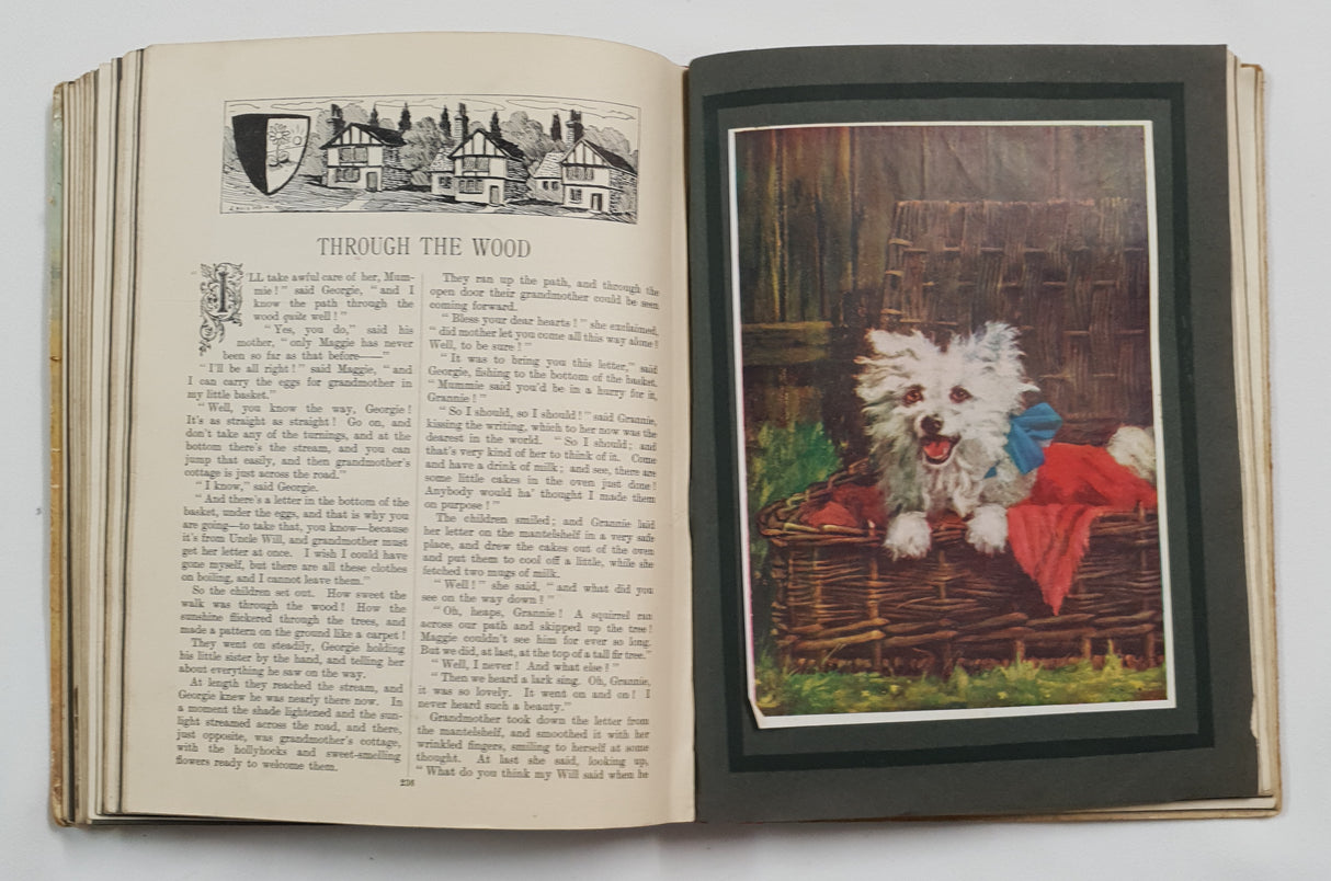 Authentic Vintage Book - ES