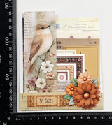 Mini Assorted Ephemera Pack - ES