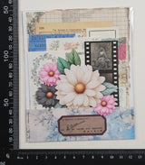 Mini Assorted Ephemera Pack - YN